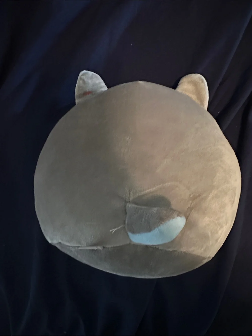 Ty Plush Husky Pillow - Gray and Teal Eyes